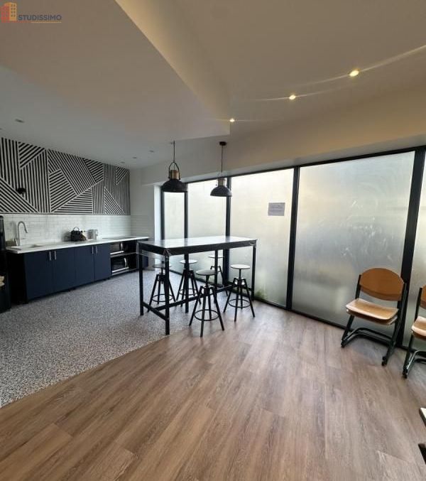 Studio meublé 18m² Villejuif - Meublé, 1er étage - Photo 3