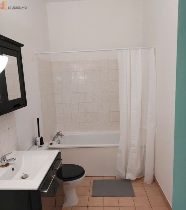 Studio meublé 25m² Mandres-les-Roses - Meublé, lumineux - Photo 1