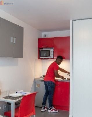 Studio meublé 18m² Maisons-Alfort - Meublé, DPE B - Photo 10