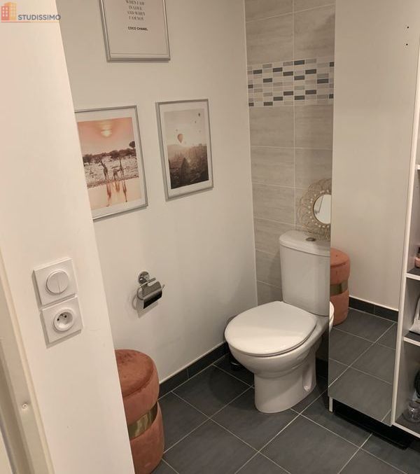 Studio 37m² Chennevières-sur-Marne - Terrasse, meublé - Photo 10