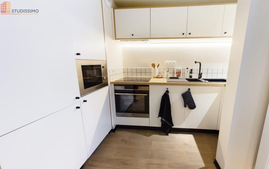 Studio meublé 20m² Gentilly - Lumineux - Photo 6