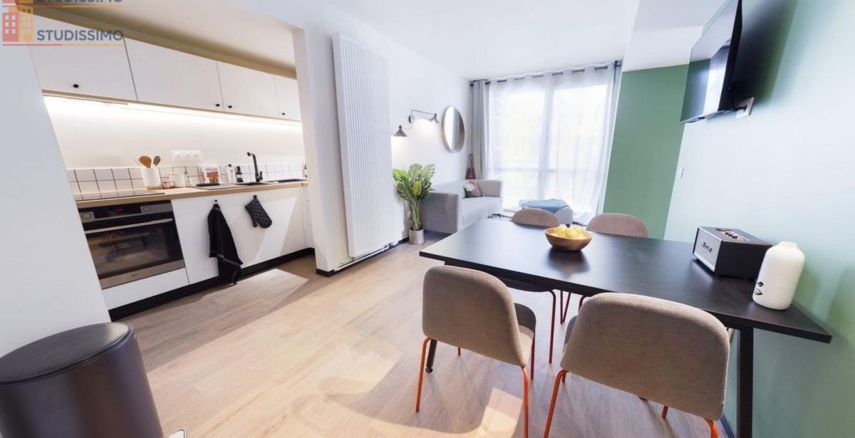 Studio meublé 20m² Gentilly - Lumineux - Photo 5