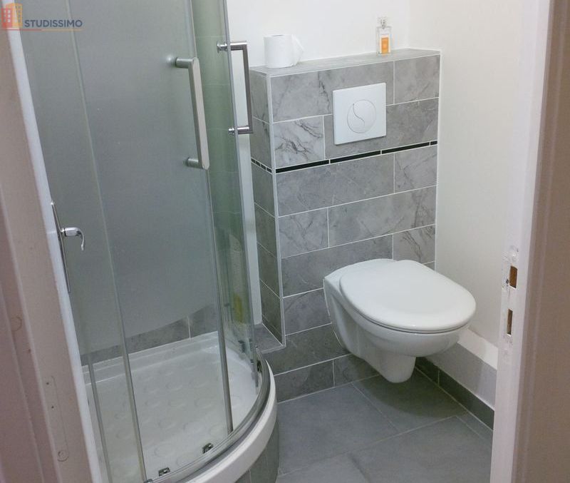 Studio meublé 14m² Créteil - Entièrement refait - Photo 1