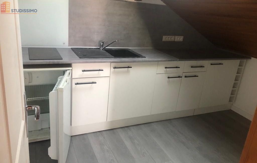 Studio meublé 22m² Villeneuve-le-Roi - Meublé, étage élevé - Photo 8