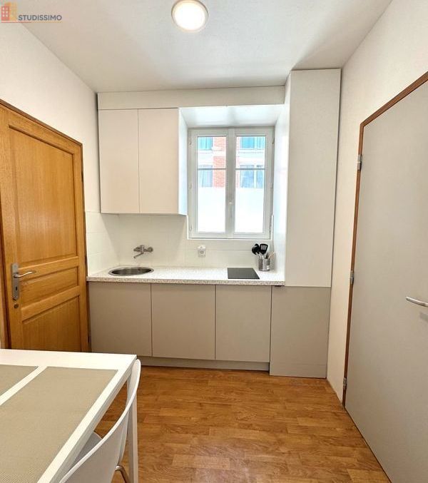 Studio 15m² Villejuif - Meublé, calme - Photo 4