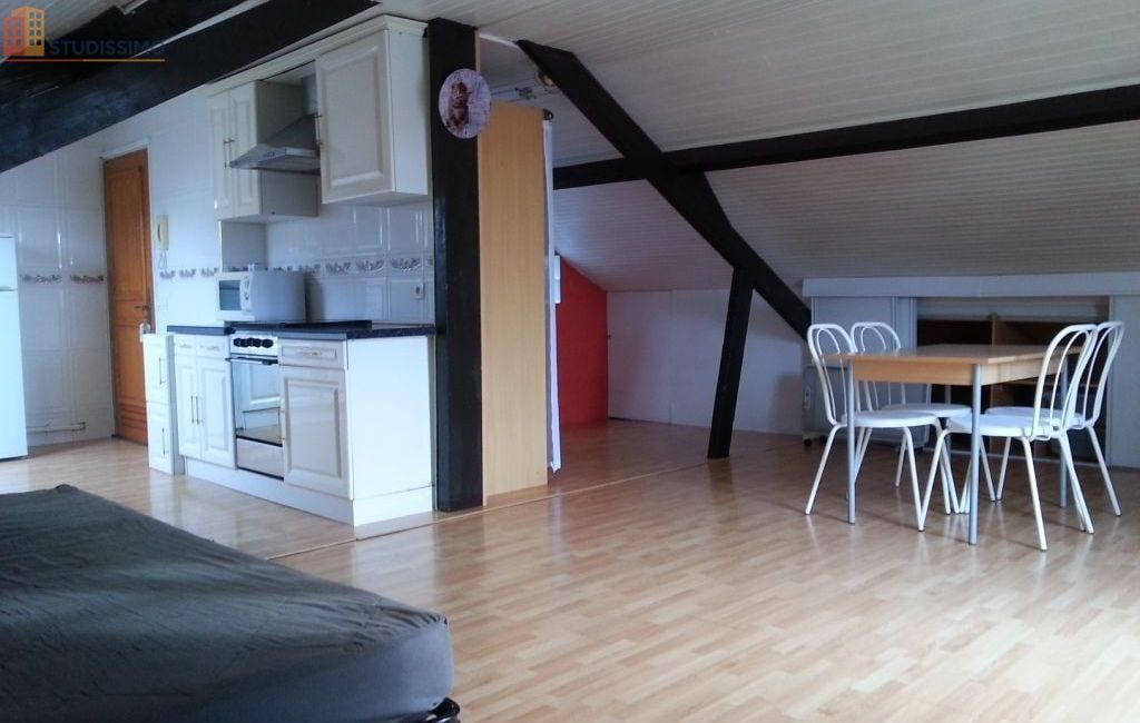 Studio 25m² Choisy-le-Roi - Meublé, proche parc des Sports - Photo 6