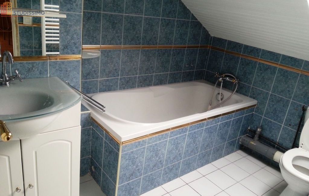 Studio 25m² Choisy-le-Roi - Meublé, proche parc des Sports - Photo 1