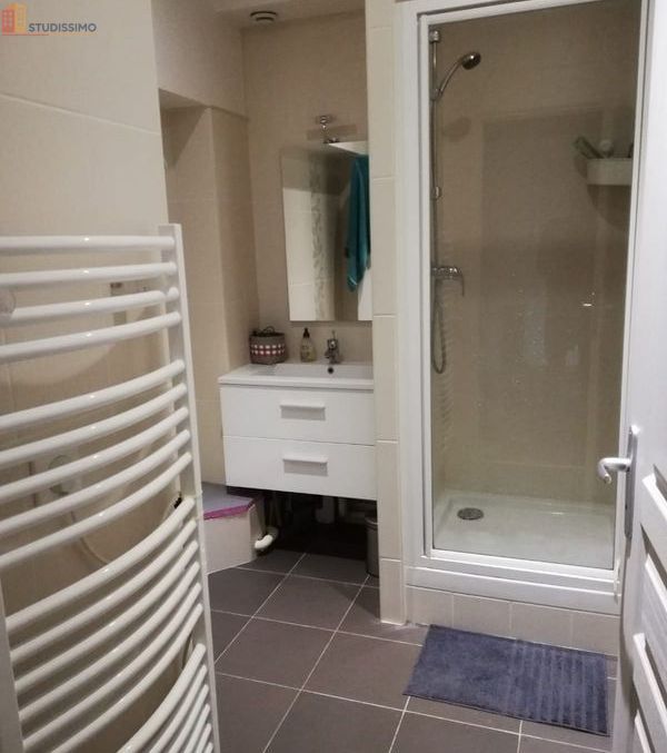 Studio meublé 31m² Le Kremlin-Bicêtre - Meublé, 2e étage - Photo 2