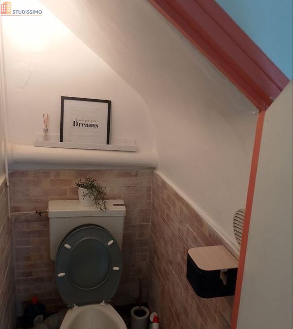 Studio 20m² Chevilly-Larue - Meublé, centre-ville - Photo 1