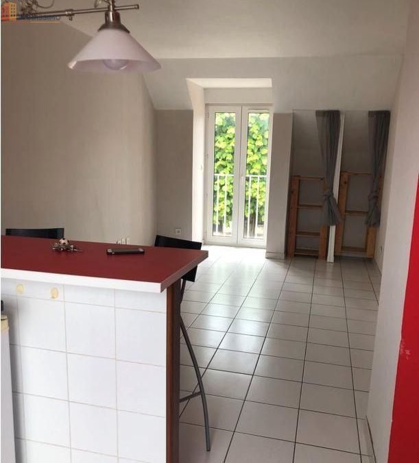 Studio 25m² Villeneuve-le-Roi - Meublé - Photo 3