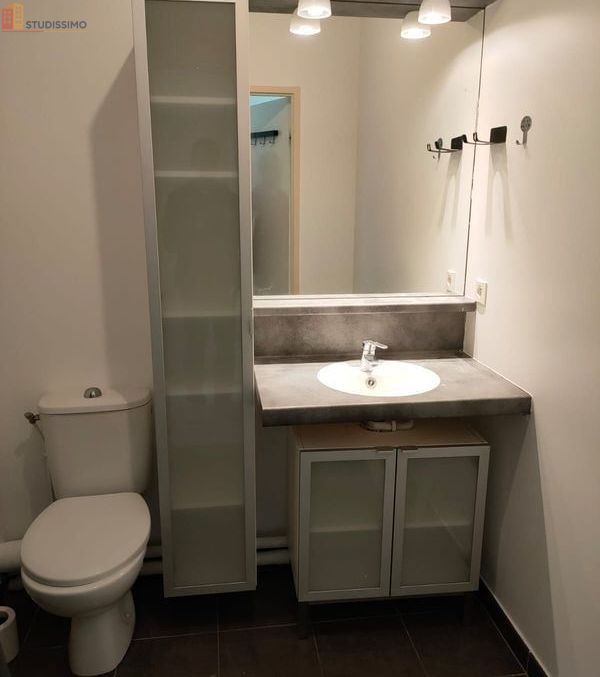 Studio meublé 25m² Cergy centre - Meublé, DPE B - Photo 1
