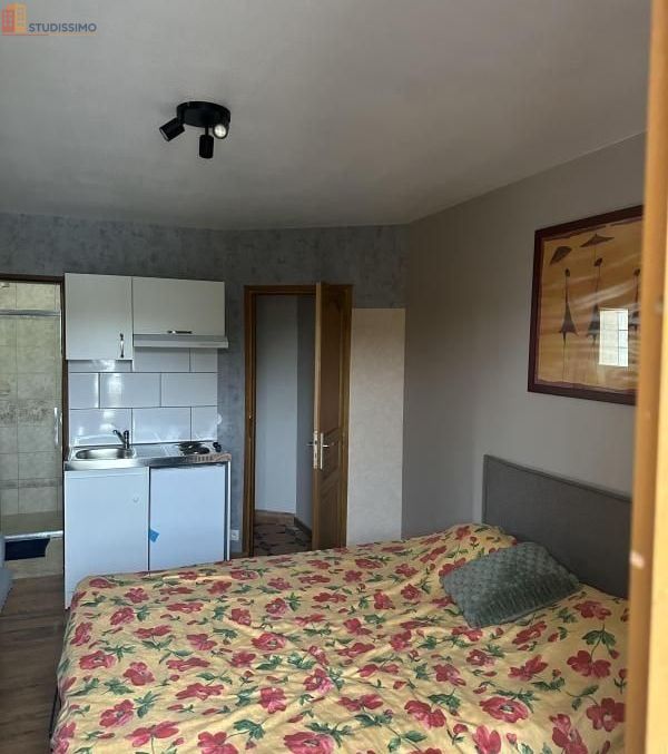 Studio 15m² Argenteuil - DPE C - Photo 22
