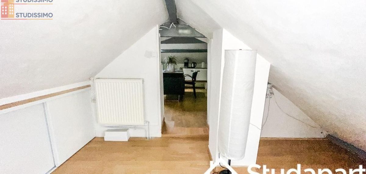 Studio meublé 35m² Goussainville - Meublé, 1 pièce - Photo 8