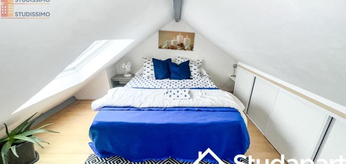 Studio meublé 35m² Goussainville - Meublé, 1 pièce - Photo 9