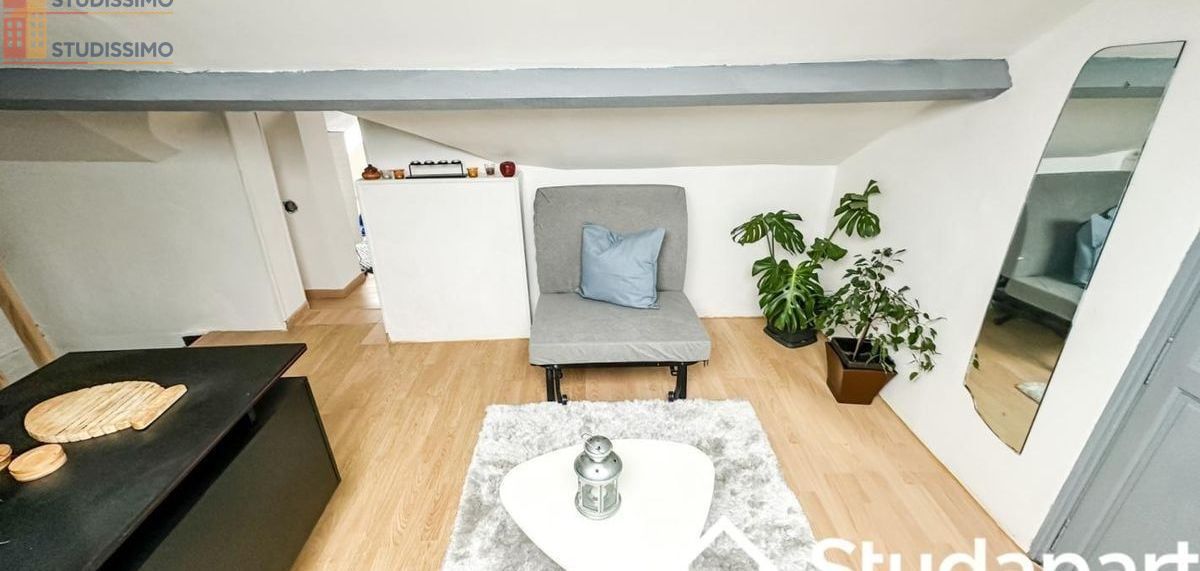 Studio meublé 35m² Goussainville - Meublé, 1 pièce - Photo 4
