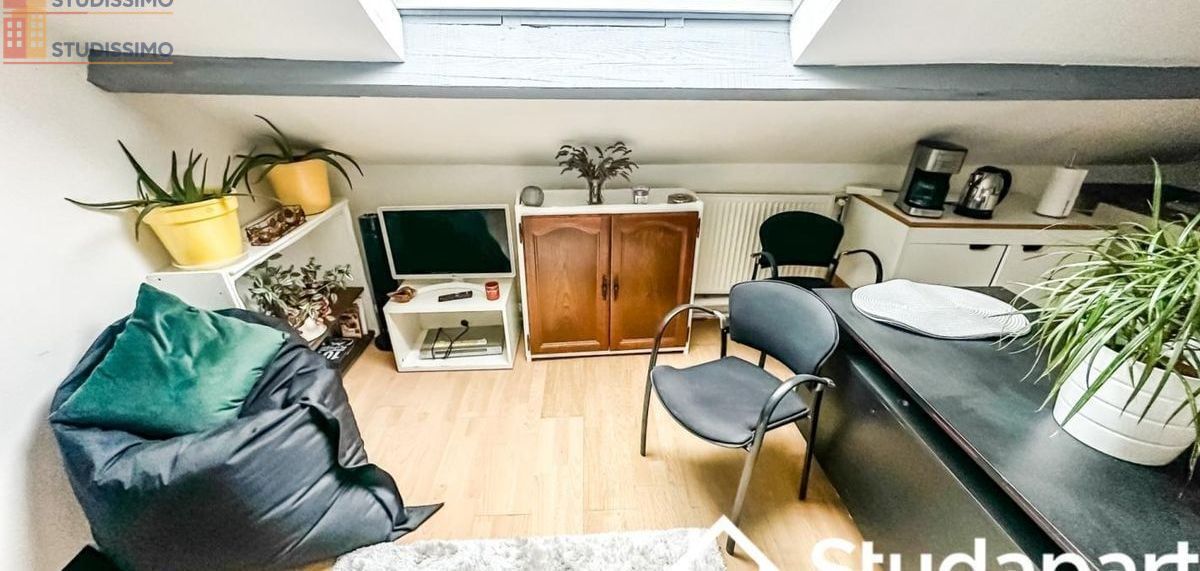 Studio meublé 35m² Goussainville - Meublé, 1 pièce - Photo 3