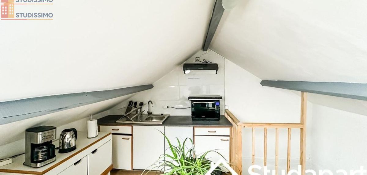 Studio meublé 35m² Goussainville - Meublé, 1 pièce - Photo 1