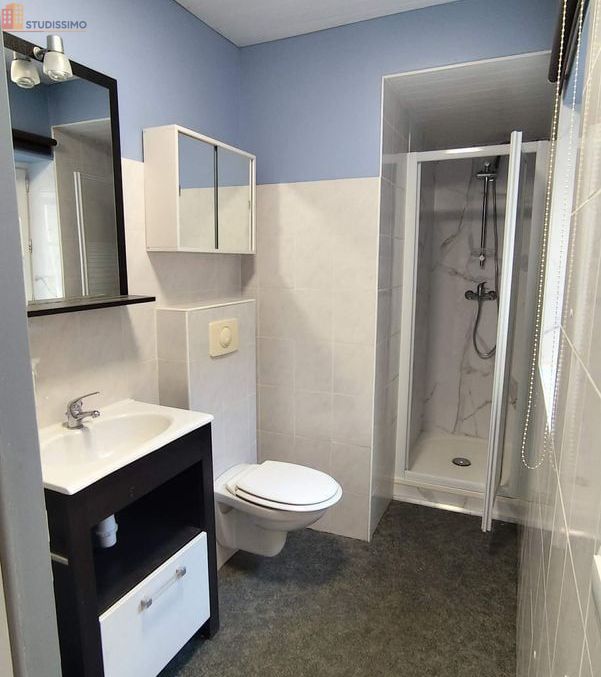 Studio 27m² Le Mesnil-Aubry - Lumineux - Photo 4
