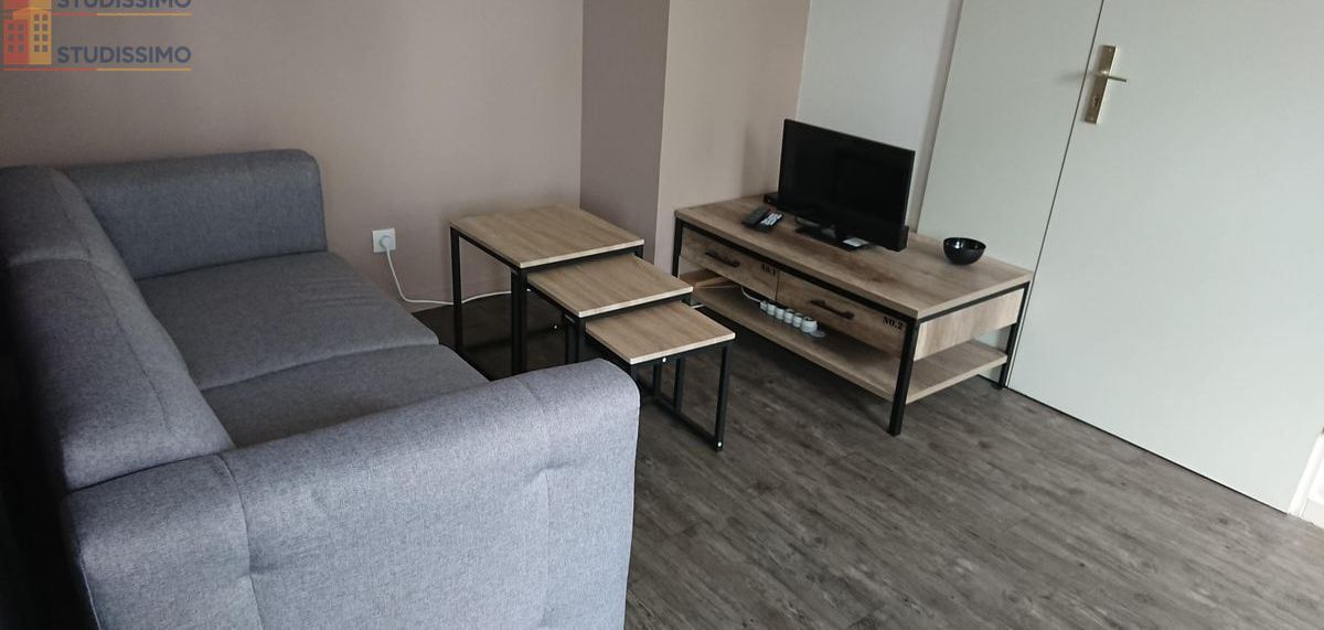 Studio meublé 31m² Cergy - Charme style industriel - Photo 5