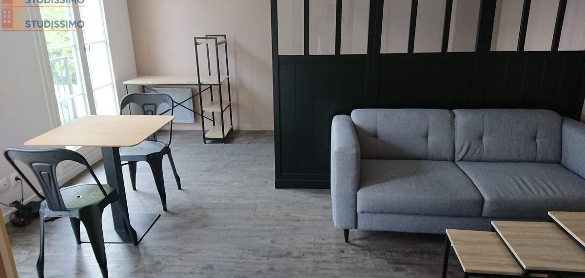 Studio meublé 31m² Cergy - Charme style industriel - Photo 4